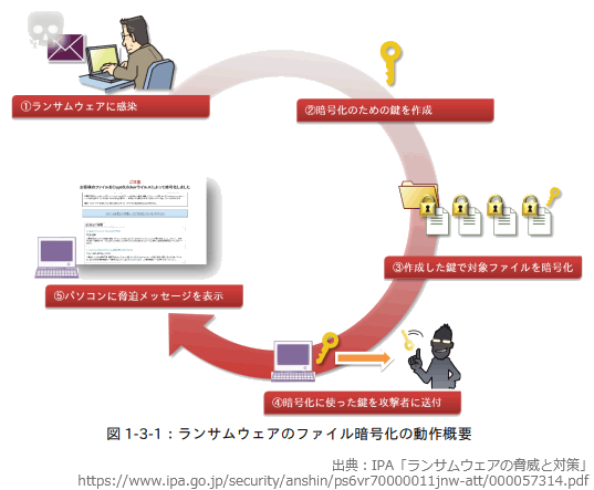 63.png/image-size:537×443