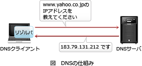 65.png/image-size:291×136